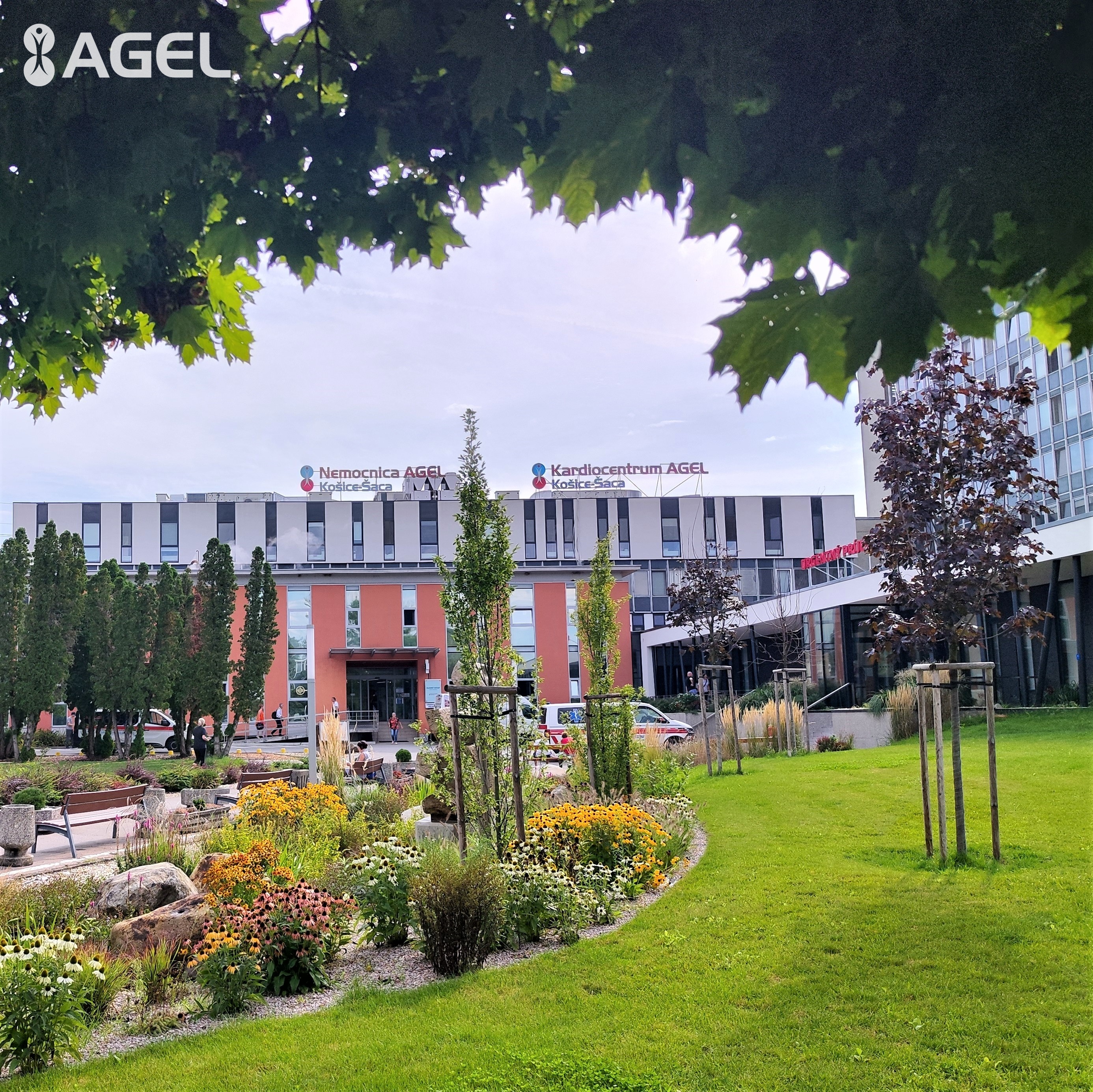 Zvýšený výskyt respiračných ochorení: Nemocnice prijímajú radikálne opatrenie