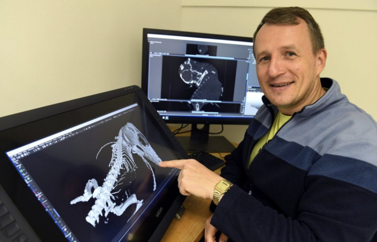 Vihorlatské múzeum povedie uznávaný paleontológ