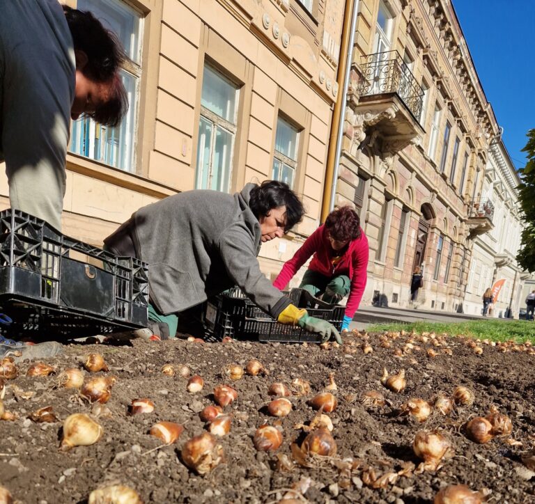 Košice zaplavili tisíce cibuliek. Na jar rozkvitnú