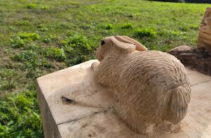 Rodinu králikov stretnete na lúke nad sídliskom KVP