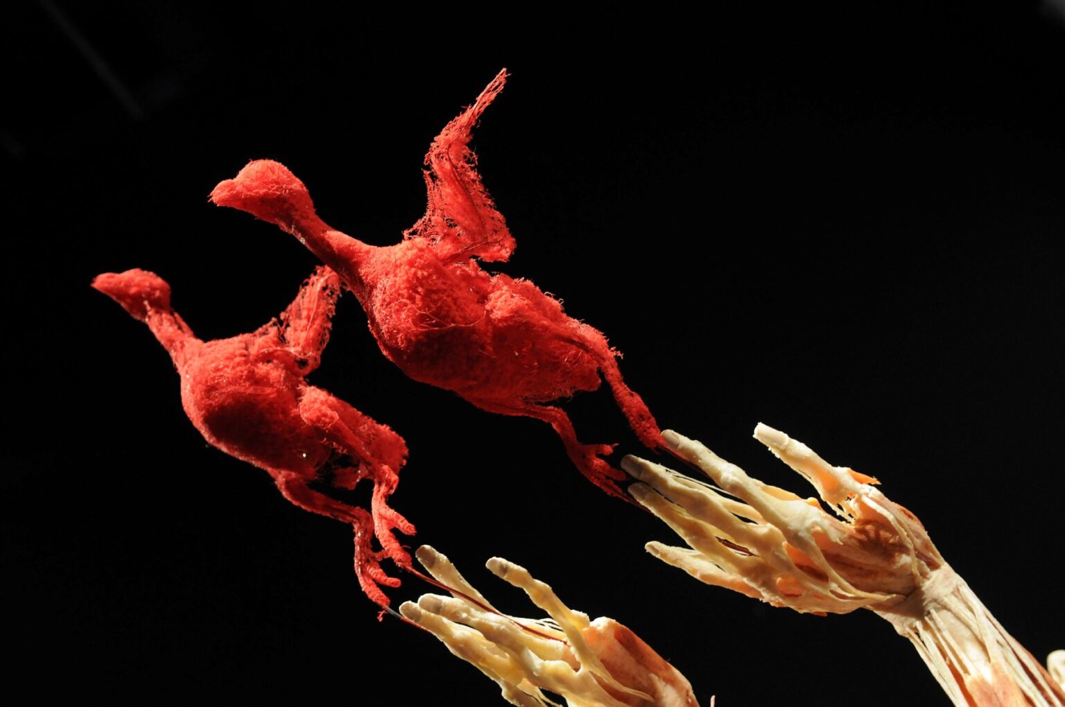 Body Worlds. Foto: Profimedia.sk