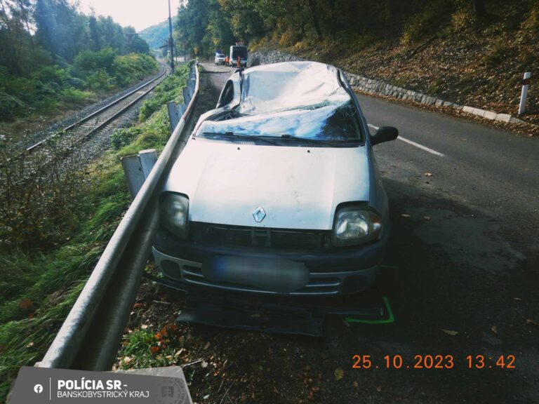 Foto: Na auto spadol nečakane strom, vodička sa ľahšie zranila