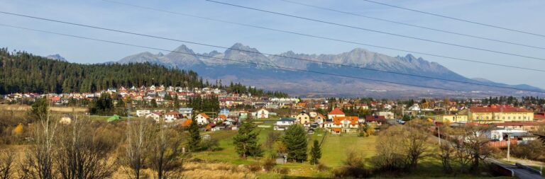 Vo Svite chcú počas jedného dňa vysadiť dvetisíc drevín