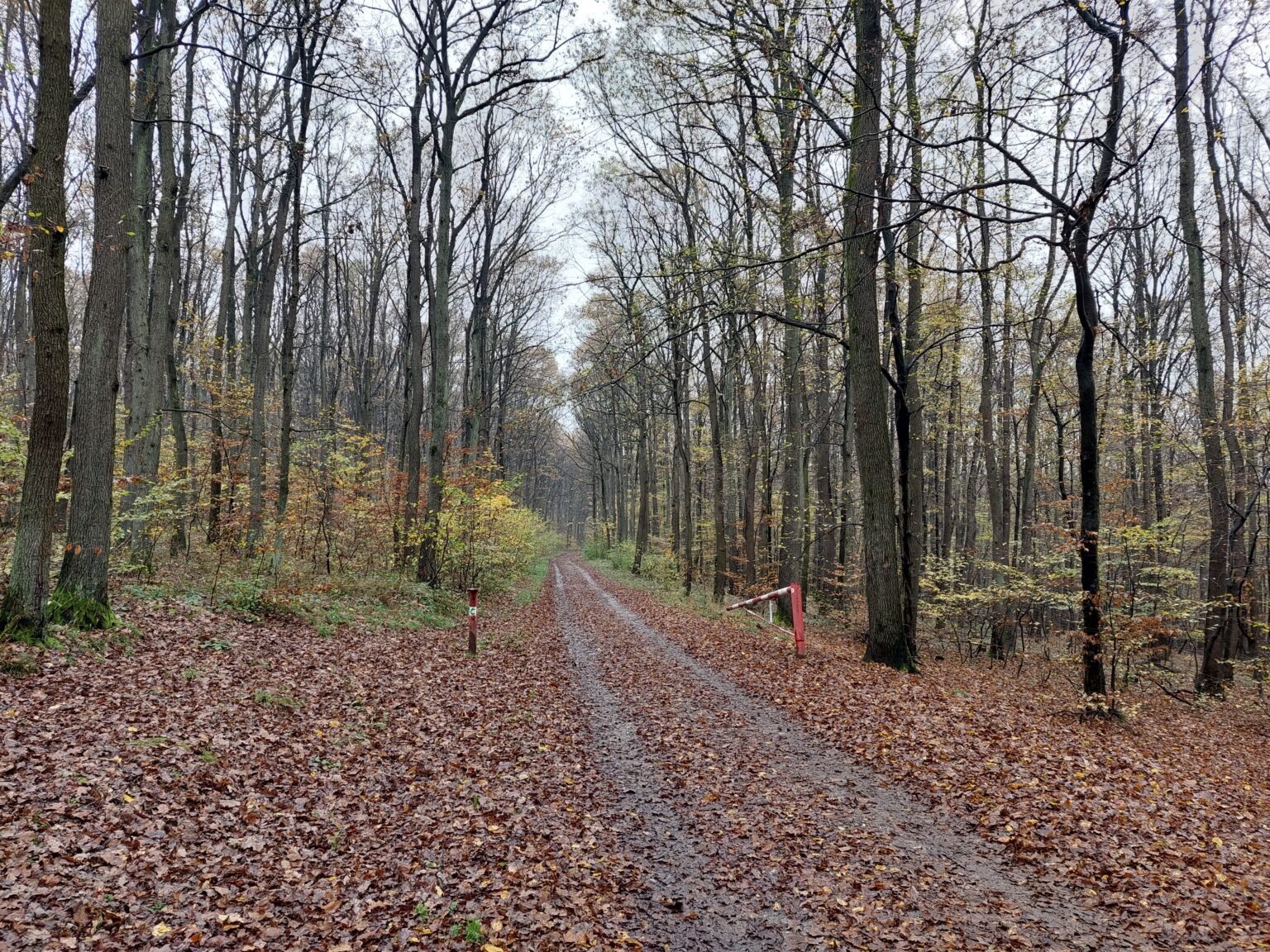 Rekonštrukcia cesty a zároveň cyklotrasy z Furče do Hrašovíka pokračuje ďalšou etapou. Foto: Boris Macko.