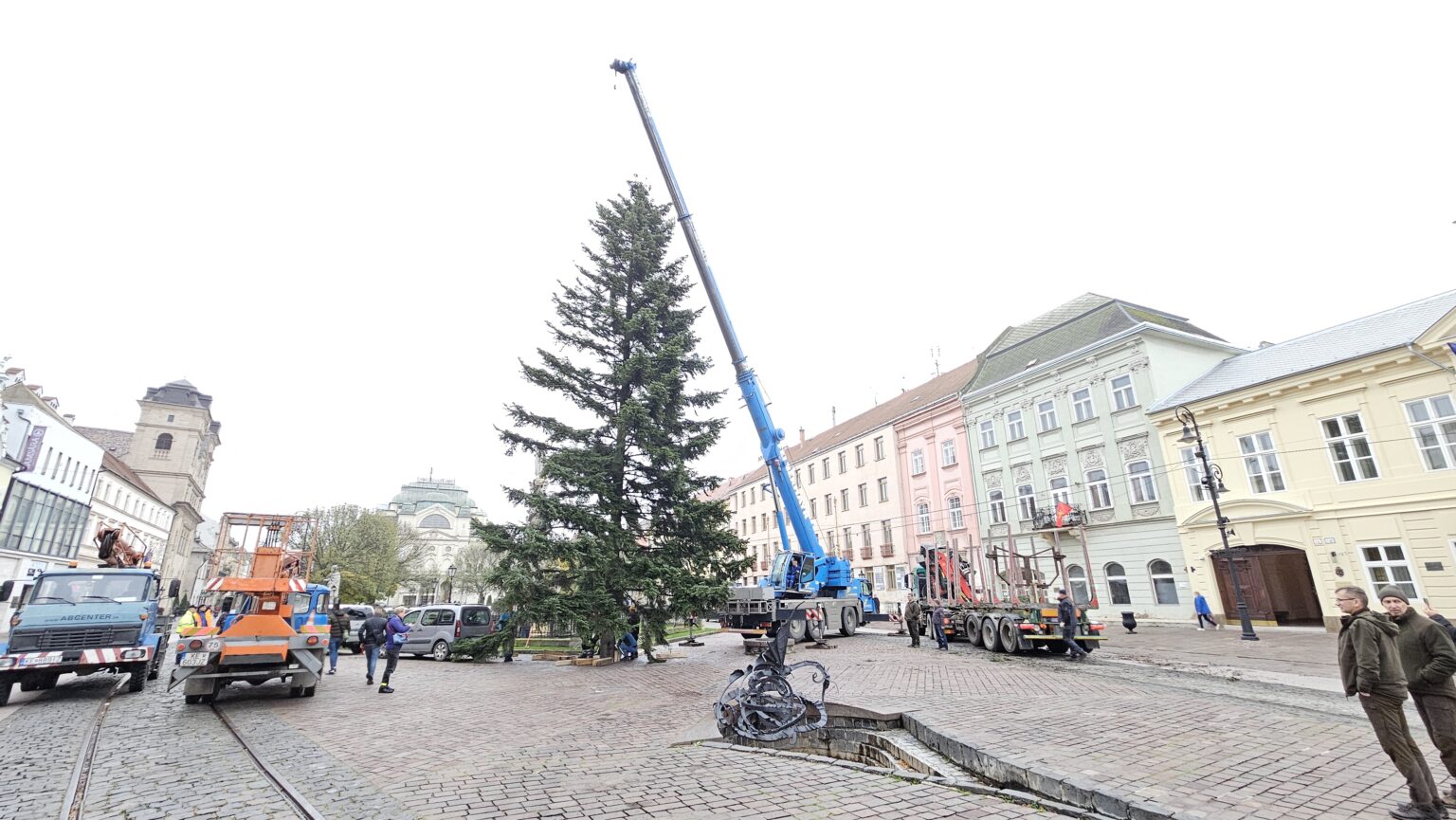 Košice už majú vianočný strom. Preprava a osadenie sú náročné, skúsení pracovníci to aj tentoraz zvládli. Foto: Boris Macko