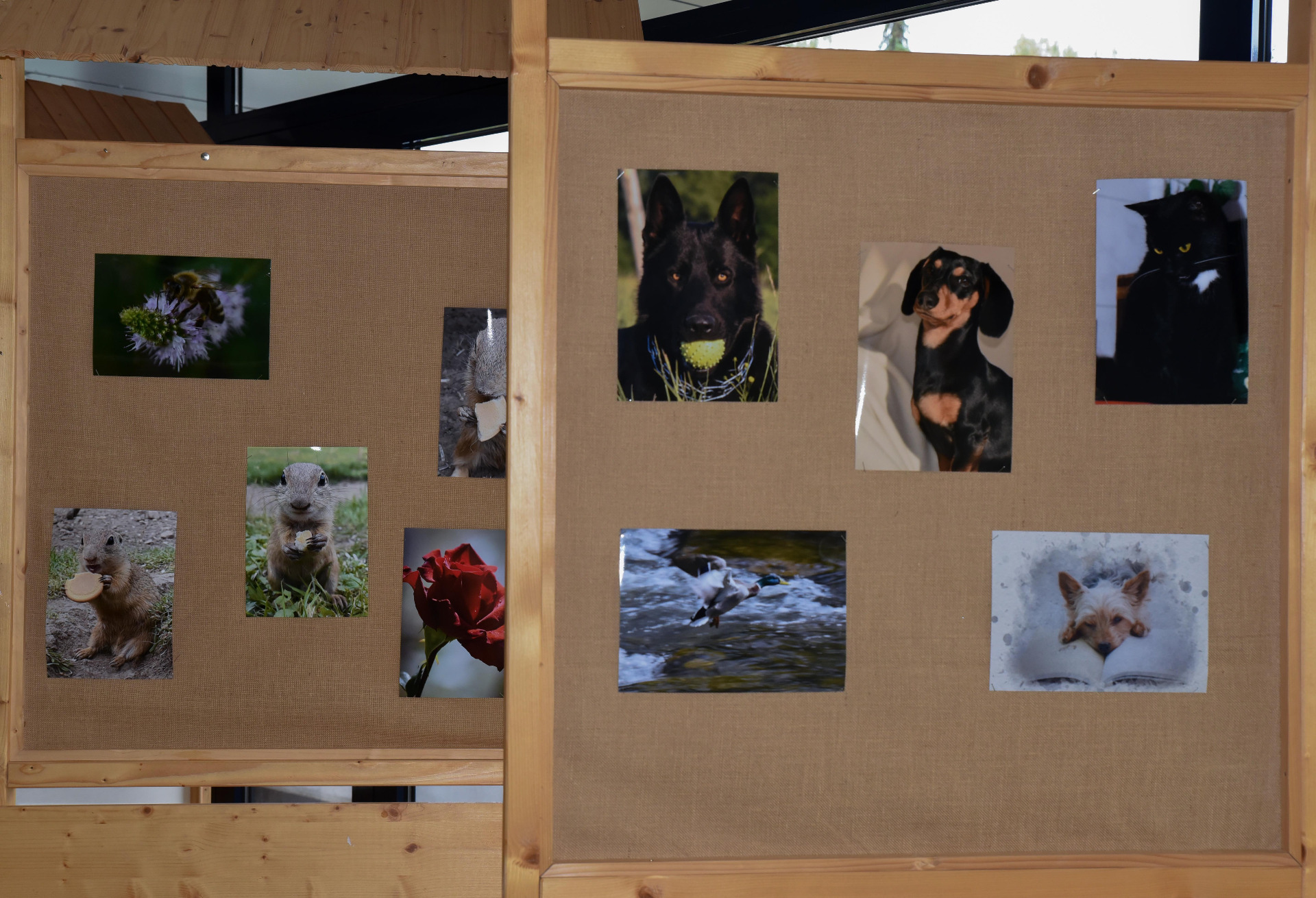 Žilinský kraj podporuje mladé talenty