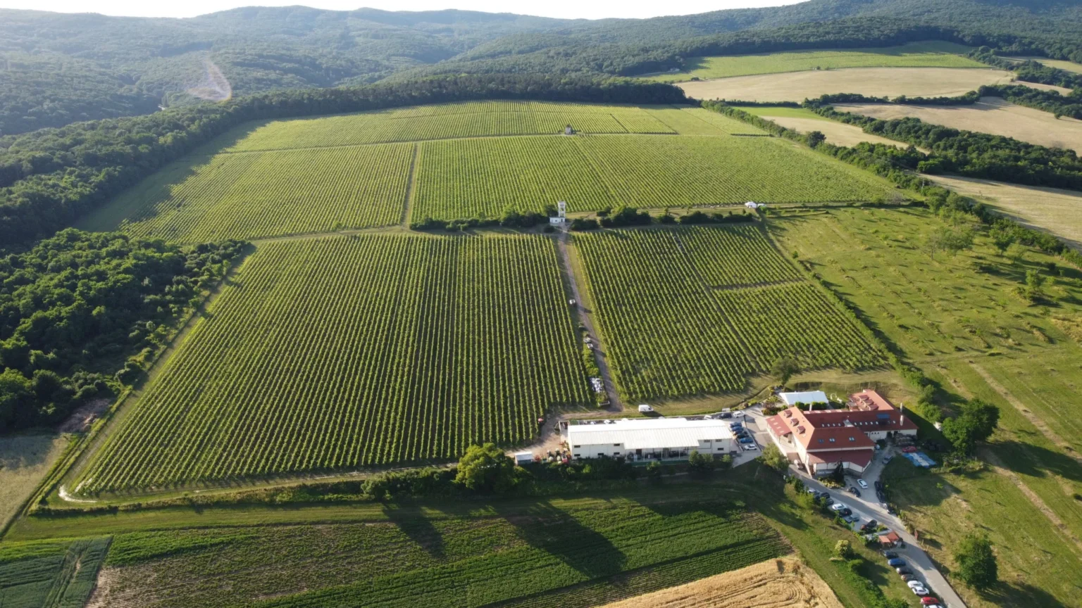 Areál pivnice Radošina aj s jej vlastnými vinicami. Foto: Pivnica Radošina