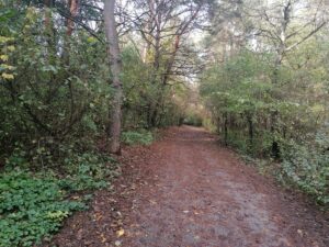 Čo vznikne v Borovicovom háji? Rozhodnú o tom aj občania