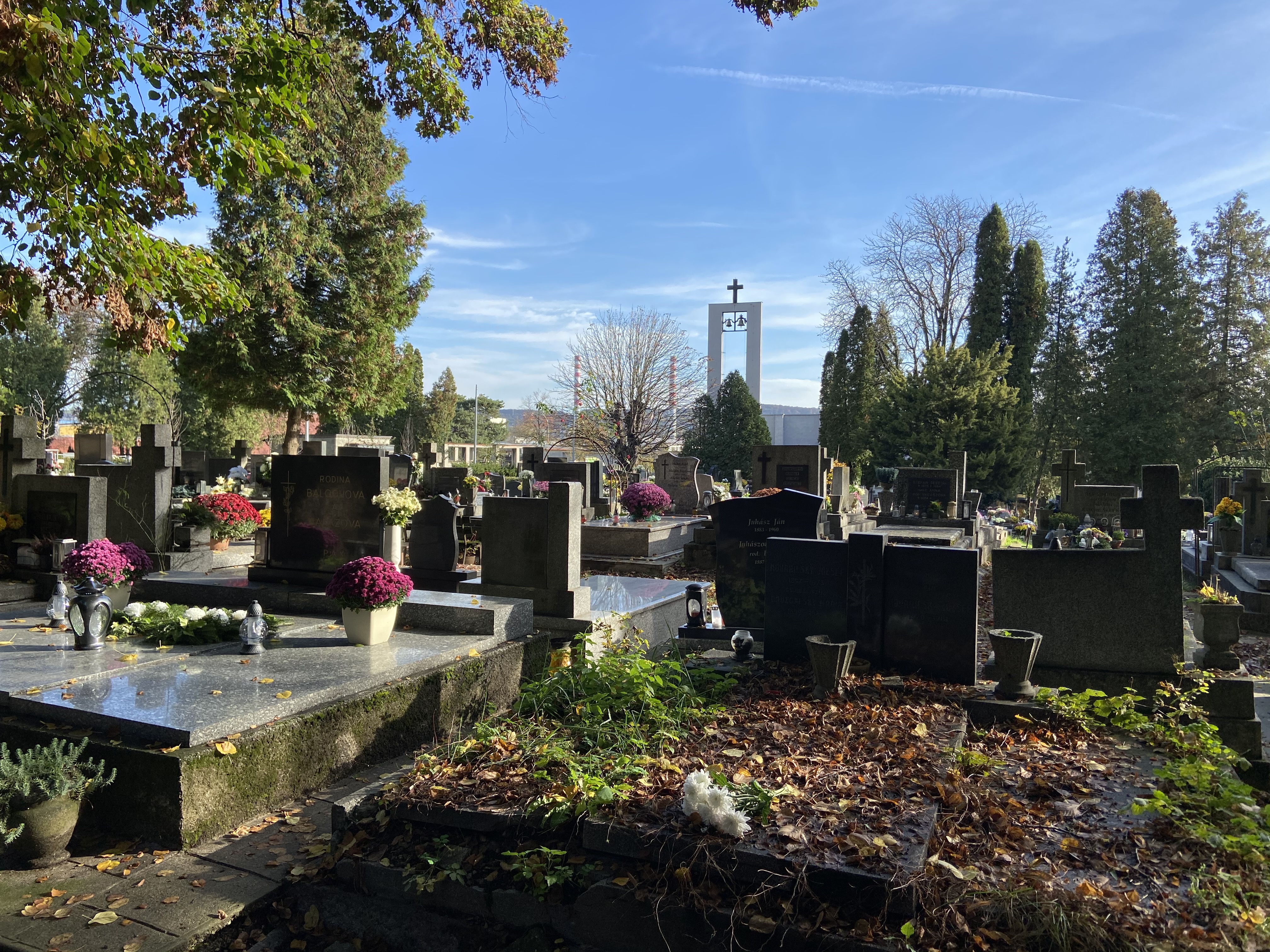 Hrob Moniky Potokárovej: Čierna mačka a biela mušľa