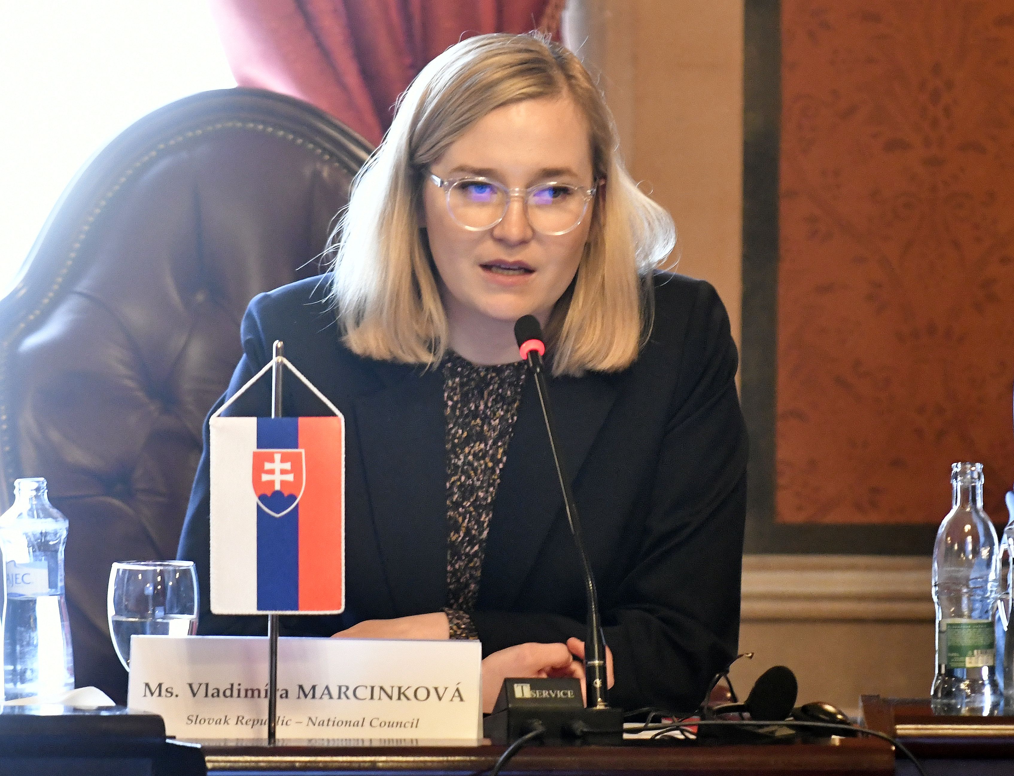 Neurobte zo Slovenska druhé Maďarsko, vyzvala Marcinková Fica. Kapitola o životnom prostredí pripomína biznis plán iných rezortov, tvrdí PS