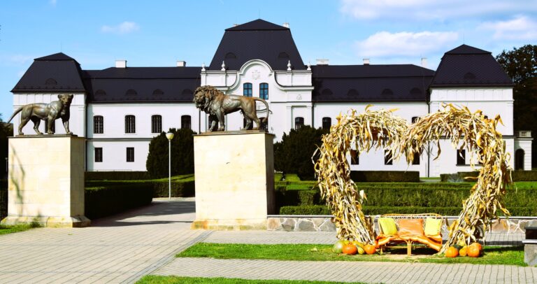 Mestom kultúry na rok 2024 sa stalo Humenné