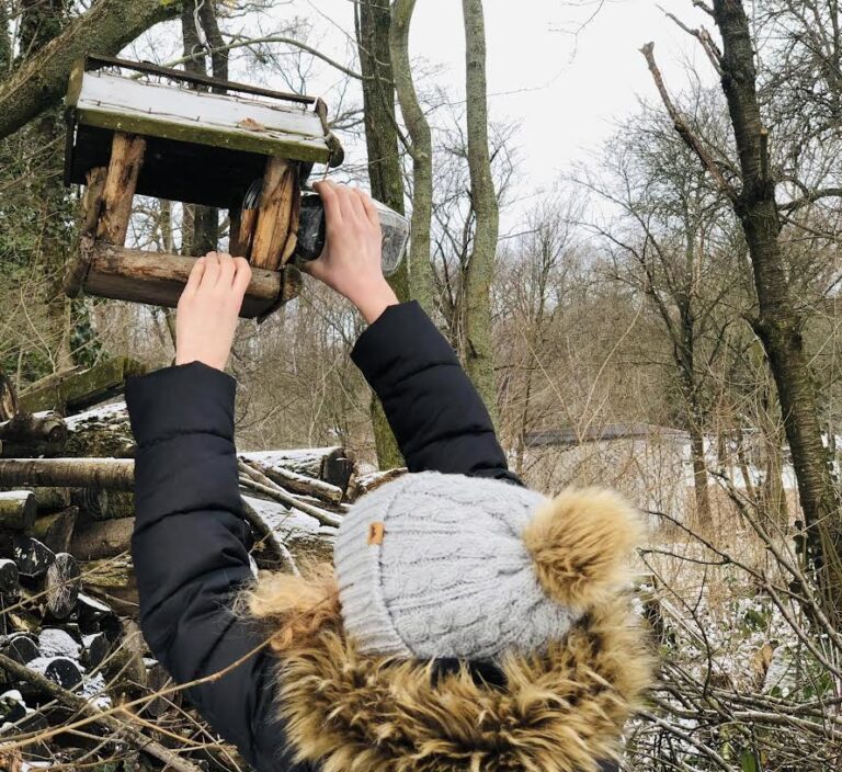 Ako pomôcť vtákom prežiť chladné mesiace a kde v Bratislave môžete pozorovať aj vzácnejšie druhy?