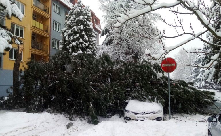 V meste Poprad upozorňujú na vysoké riziko pádu stromov či konárov