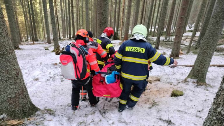 Pilčíka pri manipulácii s drevom zasiahol padajúci strom do hlavy