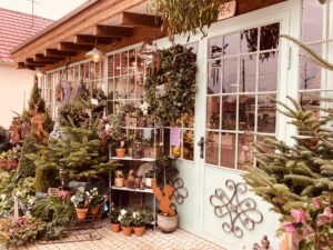 Čarokvet: Jedinečné spojenie kvetinárstva s kaviarňou sa v Bernolákove teší veľkej obľube