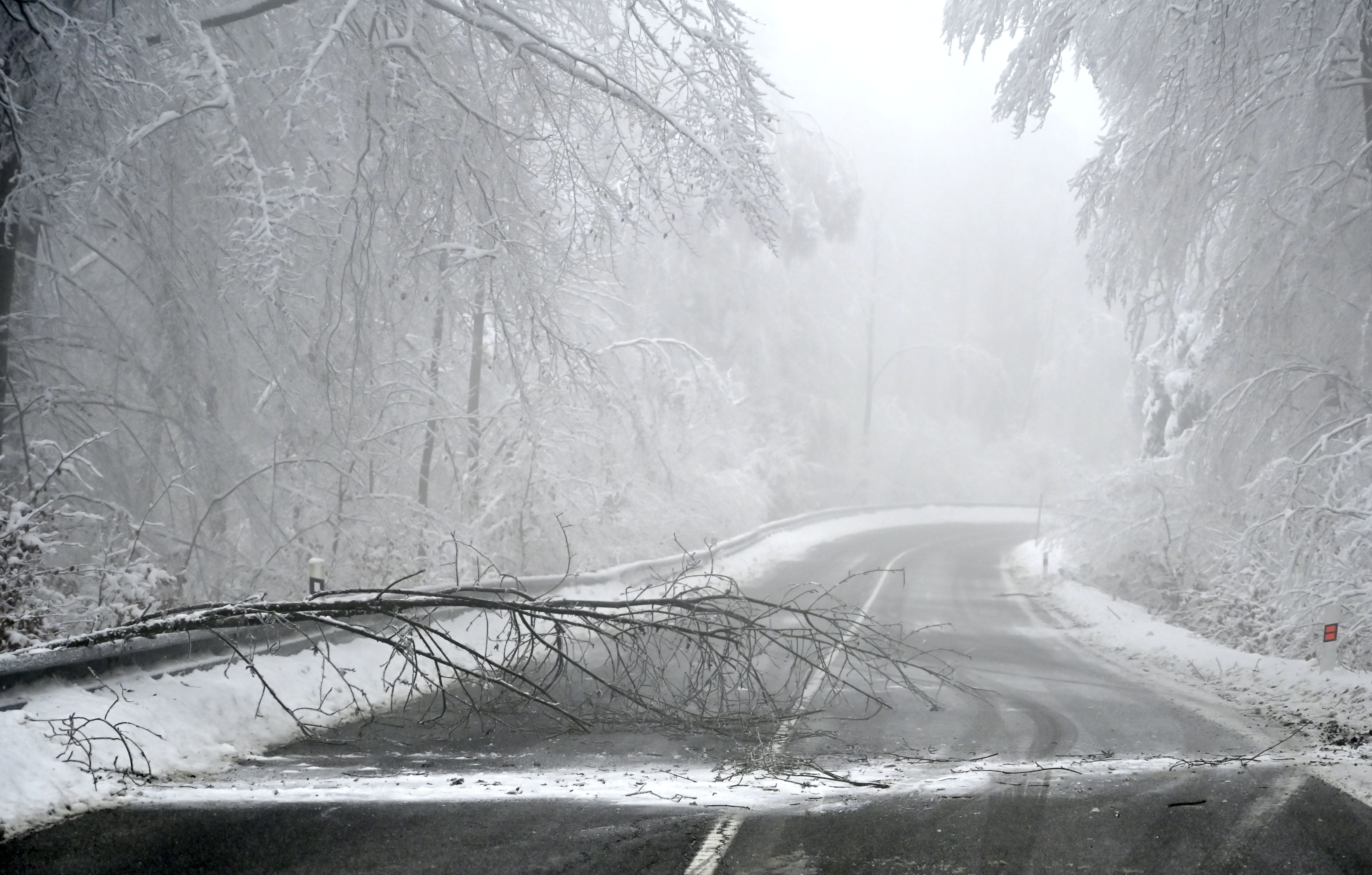 Varovanie meteorológov: Pripravte sa na poľadovicu a silnú víchricu