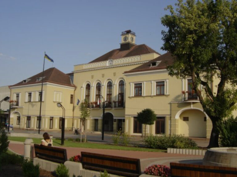 Michalovčania sa nepotešia. Od januára im stúpnu viaceré miestne dane