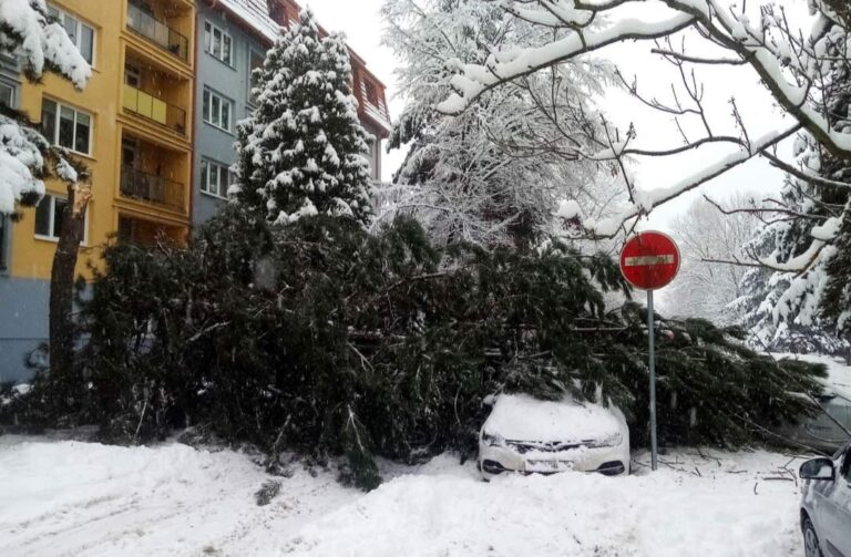 Ťažký sneh a ľad v Poprade lámu väčšie konáre. Niekedy padajú aj celé stromy