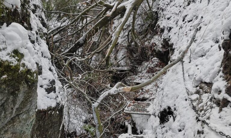 V Slovenskom raji hrozí pád stromov na chodníky. Čomu sa treba vyhnúť?