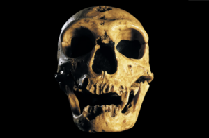 Ak ste "ranné vtáča", môže ísť o gény po neandertálcoch