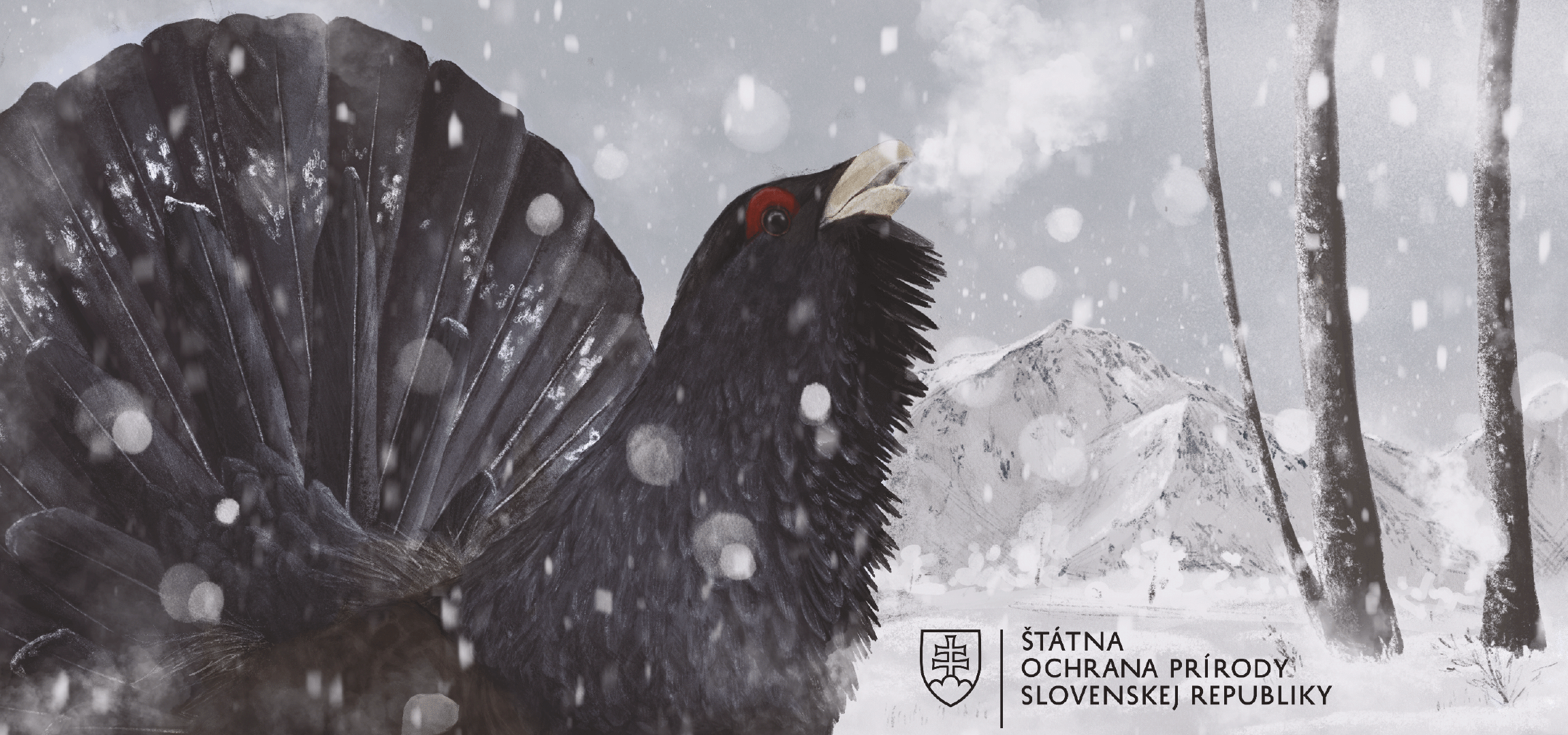 Mladé talenty z našich regiónov sa blysli. Pozrite sa, čo vytvorili