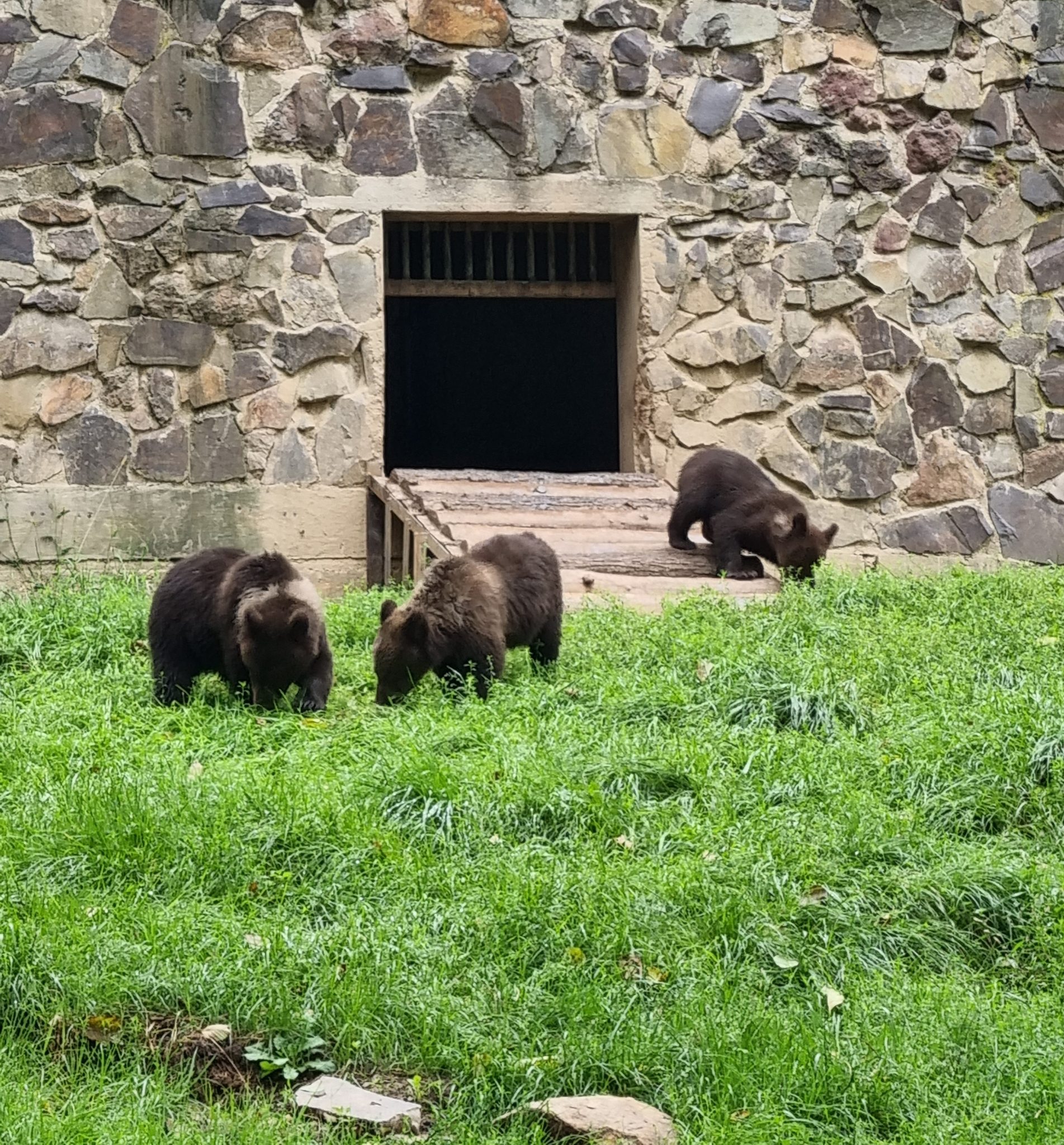 Aj košická zoo musí šetriť. Predáva niektoré zvieratá a ruší akcie