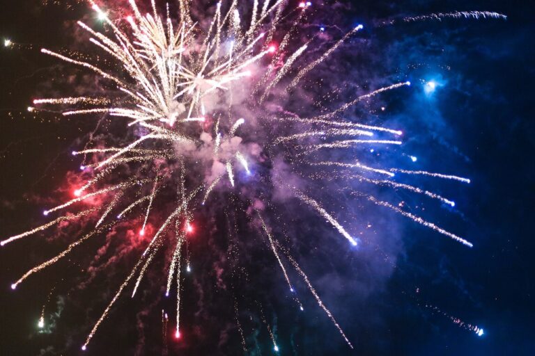 Fireworks in the night sky.