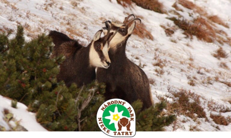 Ohňostroje do hôr nepatria. Za použitie pyrotechniky v národnom parku zaplatíte tisíce eur