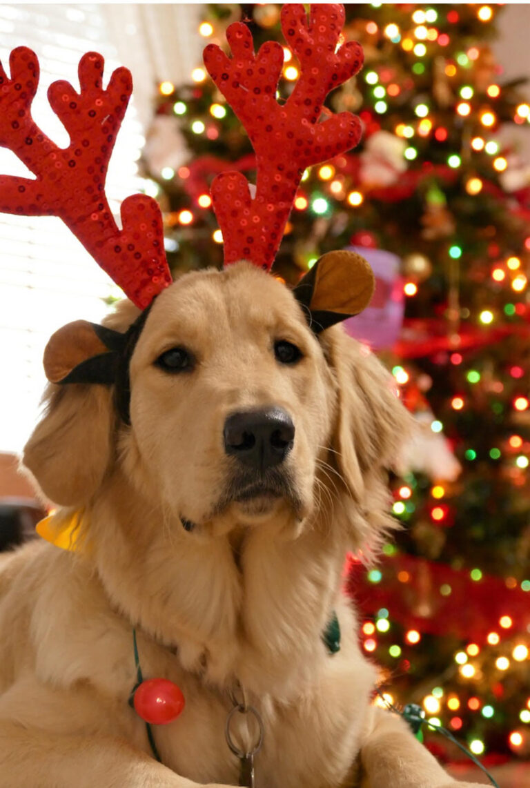 Ilustračná fotografia: Zdroj: Pixabay