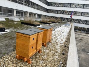 Magistrát má veľkú novinku. Neuveríte, čo majú na streche