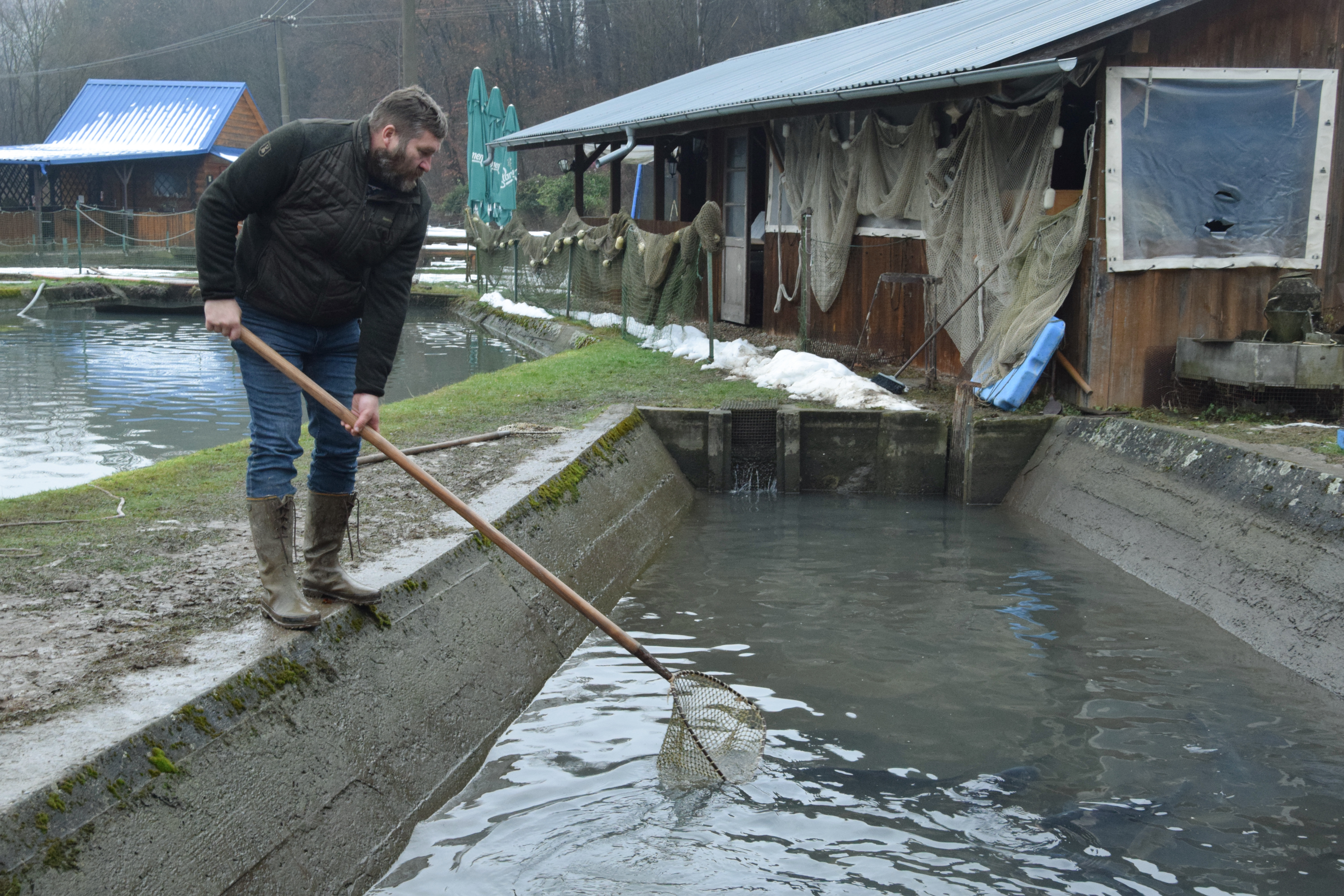 VIDEO: Rodinnú tradíciu tu dodržiavajú už vyše 40 rokov. O ryby sa staráme ako o deti, hovorí Juraj Vicena