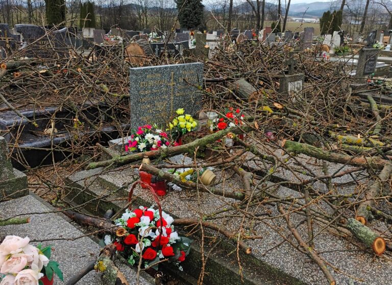 Pietne miesta zneuctili a poškodili konáre spílených stromov