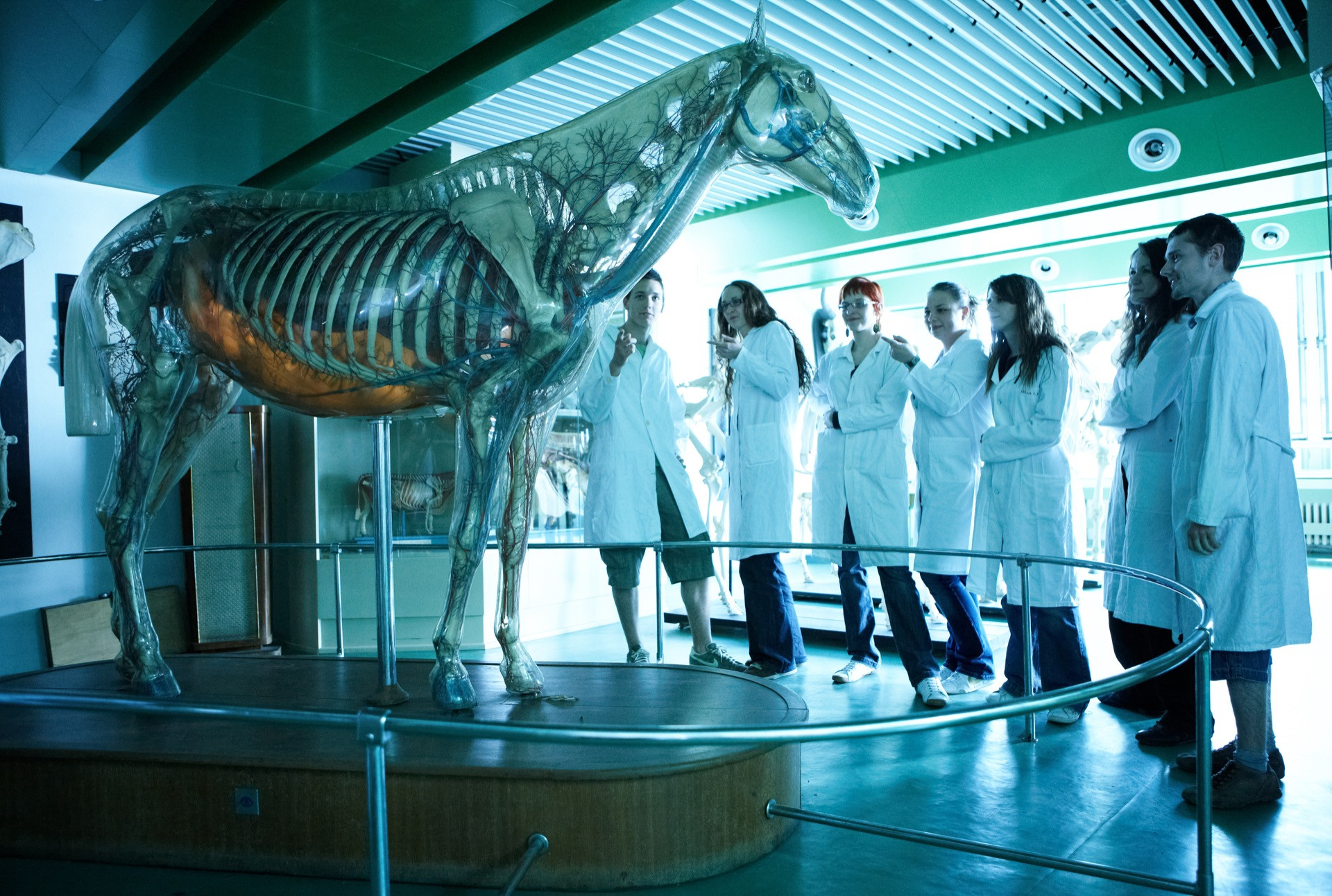 Univerzita veterinárskeho lekárstva a farmácie organizuje DOD: Bohatý program, vlastné pokusy, žiadna nuda