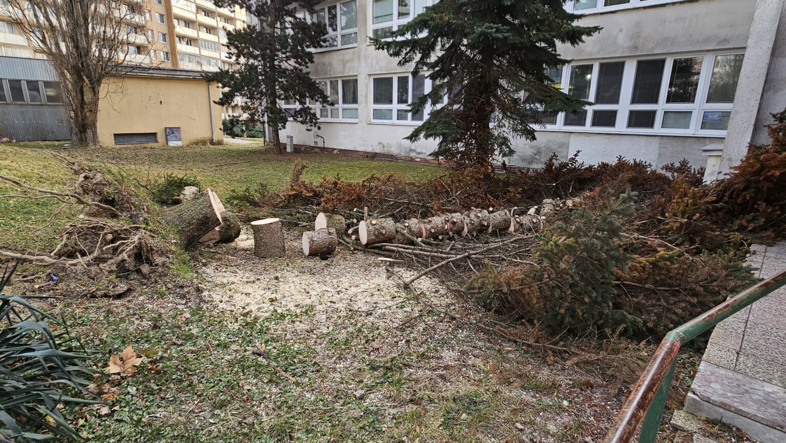 Silný vietor v Košiciach vyvracia stromy. Foto: Boris Macko