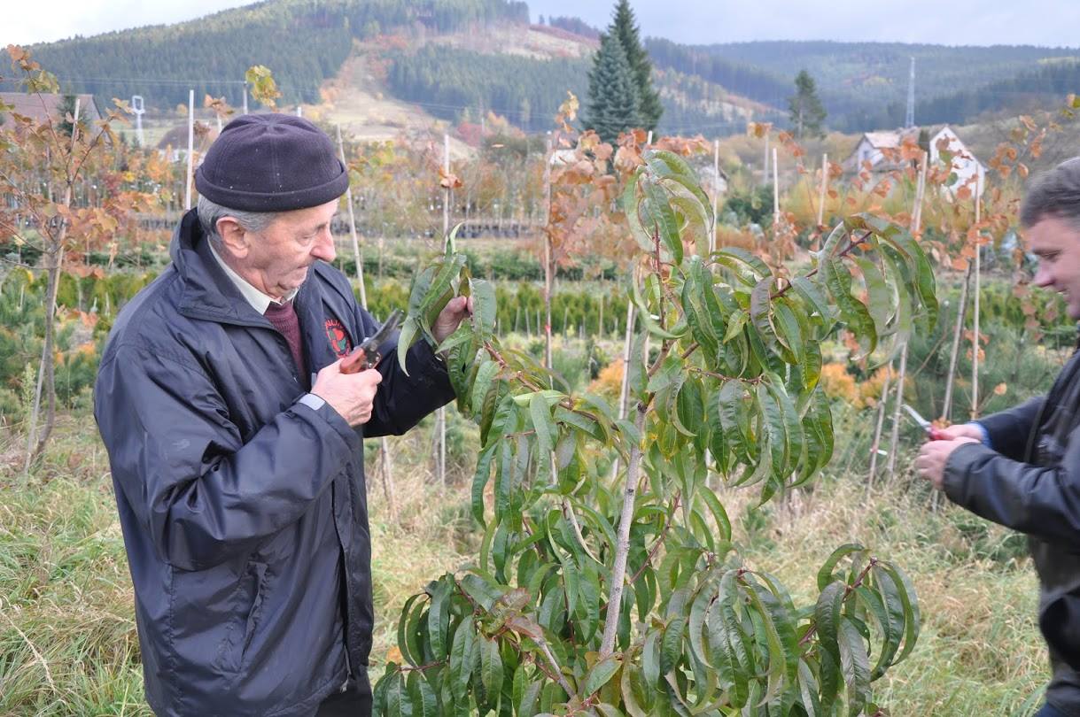 Jeho radami sa riadi už niekoľko generácií. Známy profesor oslávil požehnaný vek