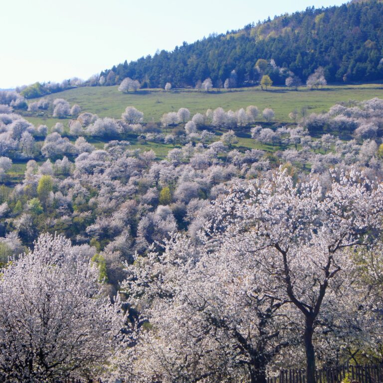 Festival Objavte Gemer predstaví príbehy gotických kostolov i krasové planiny