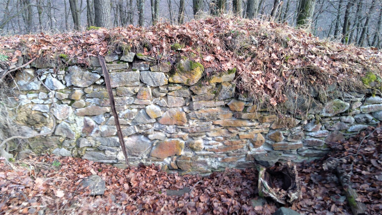 Z hradu Skároš ostali len ruiny, no oplatí sa ich vidieť. Badateľné sú aj múr a pôdorys palácovej stavby. Foto: Boris Macko
