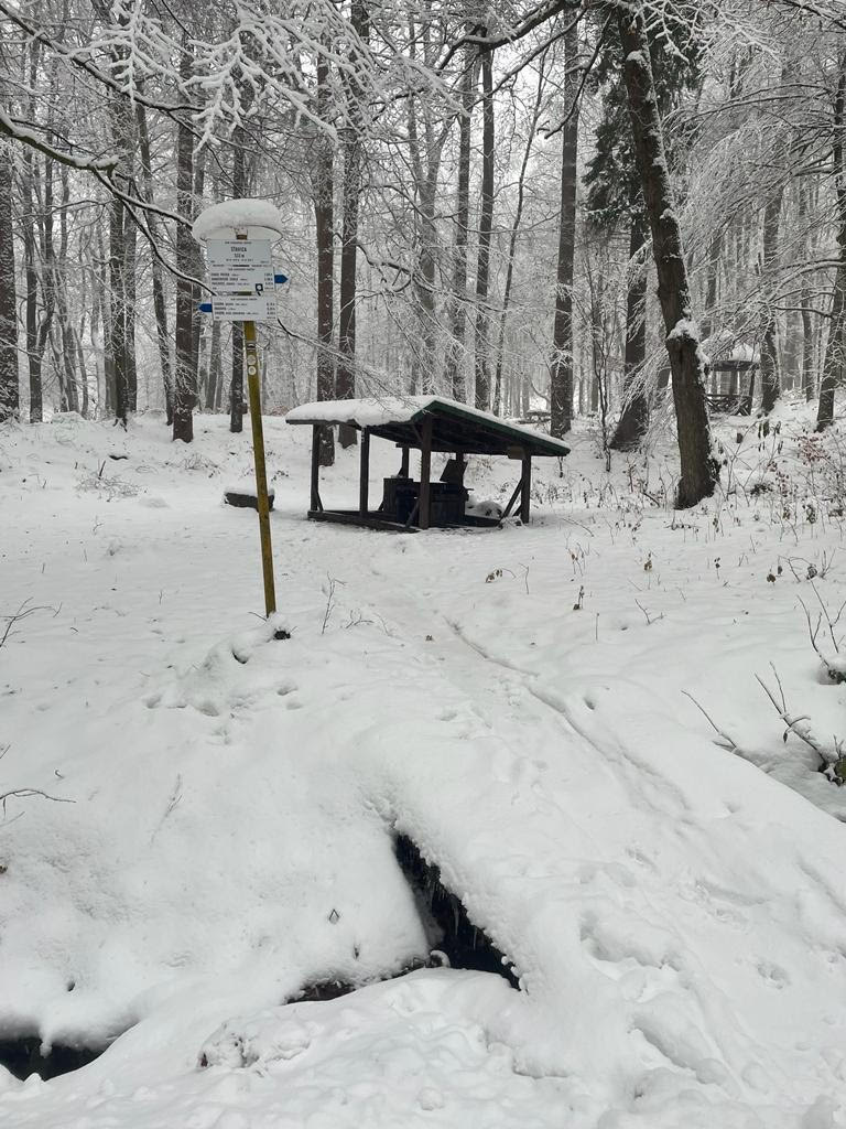 Prameň Šťavica postihlo nešťastie. Čo s ním bude?