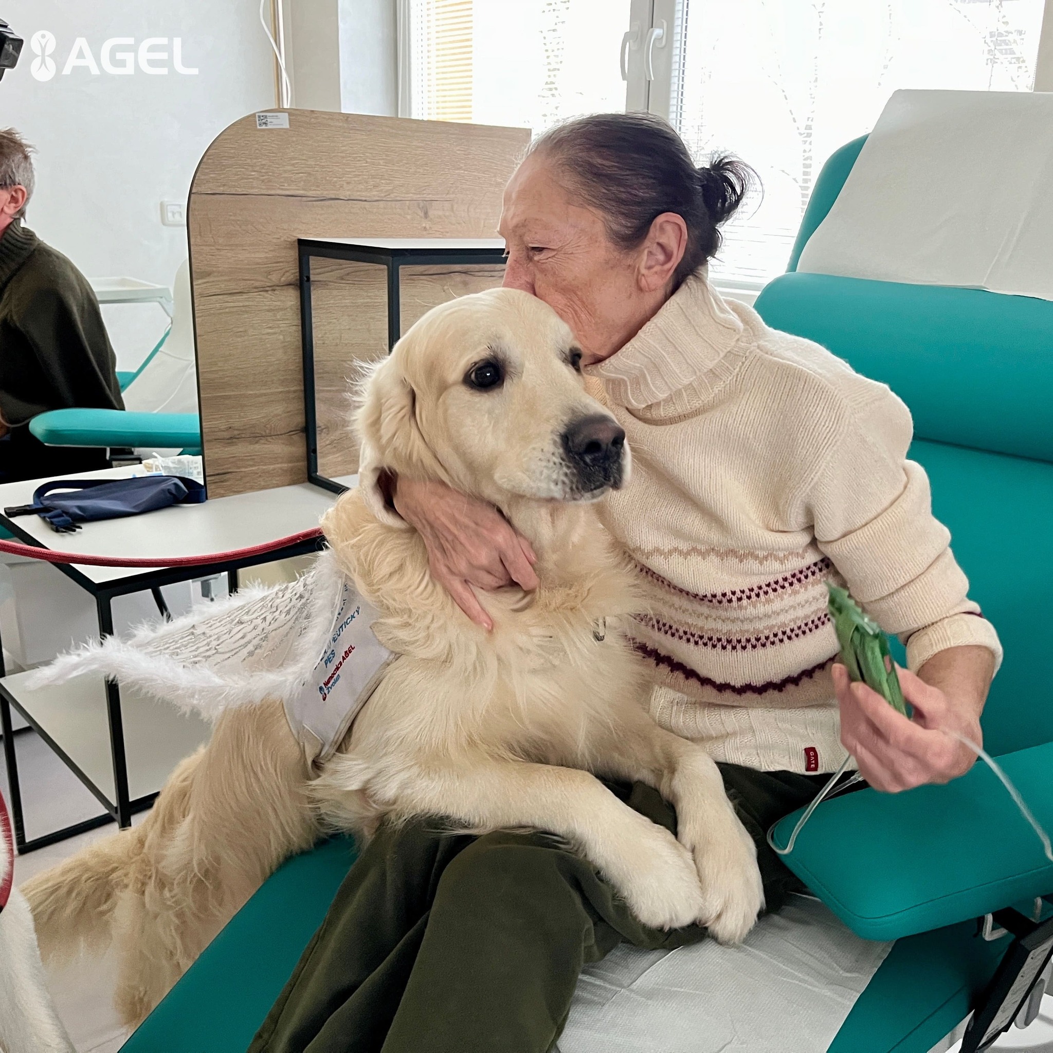 Vo zvolenskej nemocnici ordinujú štvornohí terapeuti, pacientom rozdávajú pozitívnu energiu