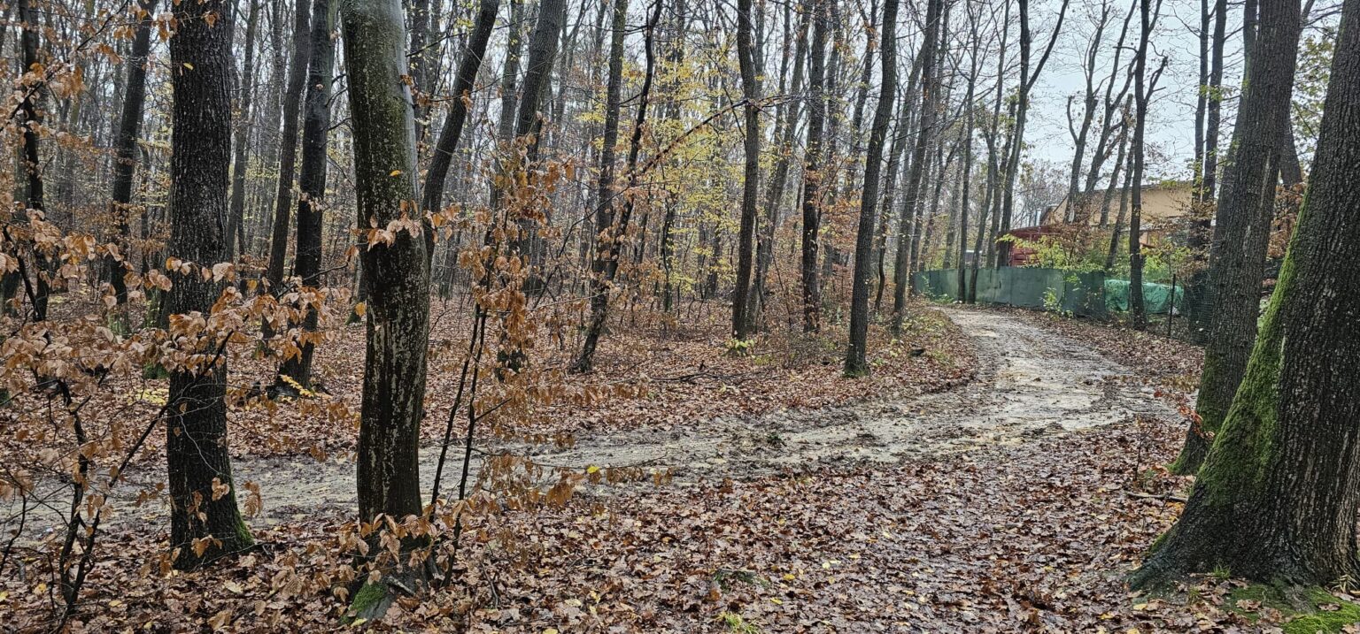 Perešania neskrývajú nespokojnosť s projektom budovania lesoparku. Foto: Tip čitateľa