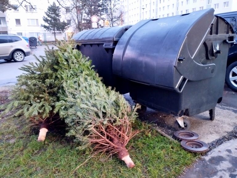 Nerobte si starosti. O váš vianočný stromček sa postará mesto