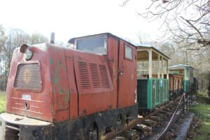 Lesné železnice sú ukryté aj v Malých Karpatoch. Aké tajomstvo skrývajú?