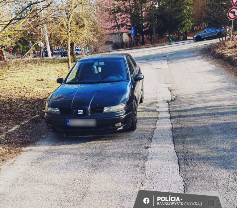 Vodič vozidla seat bol pozitívne testovaný na drogy. Foto: FB Polícia SR BB