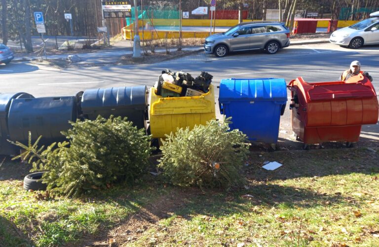 O vyhodené vianočné stromčeky sa postará mesto. Foto: Mário Kaprálik