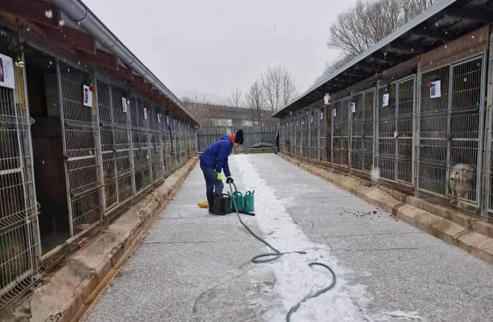 Karanténna stanica v Banskej Bystrici potrebuje pomoc. Hľadajú brigádnika