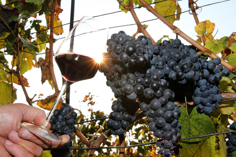 Na Námestí SNP ožijú zabudnuté historické pivnice