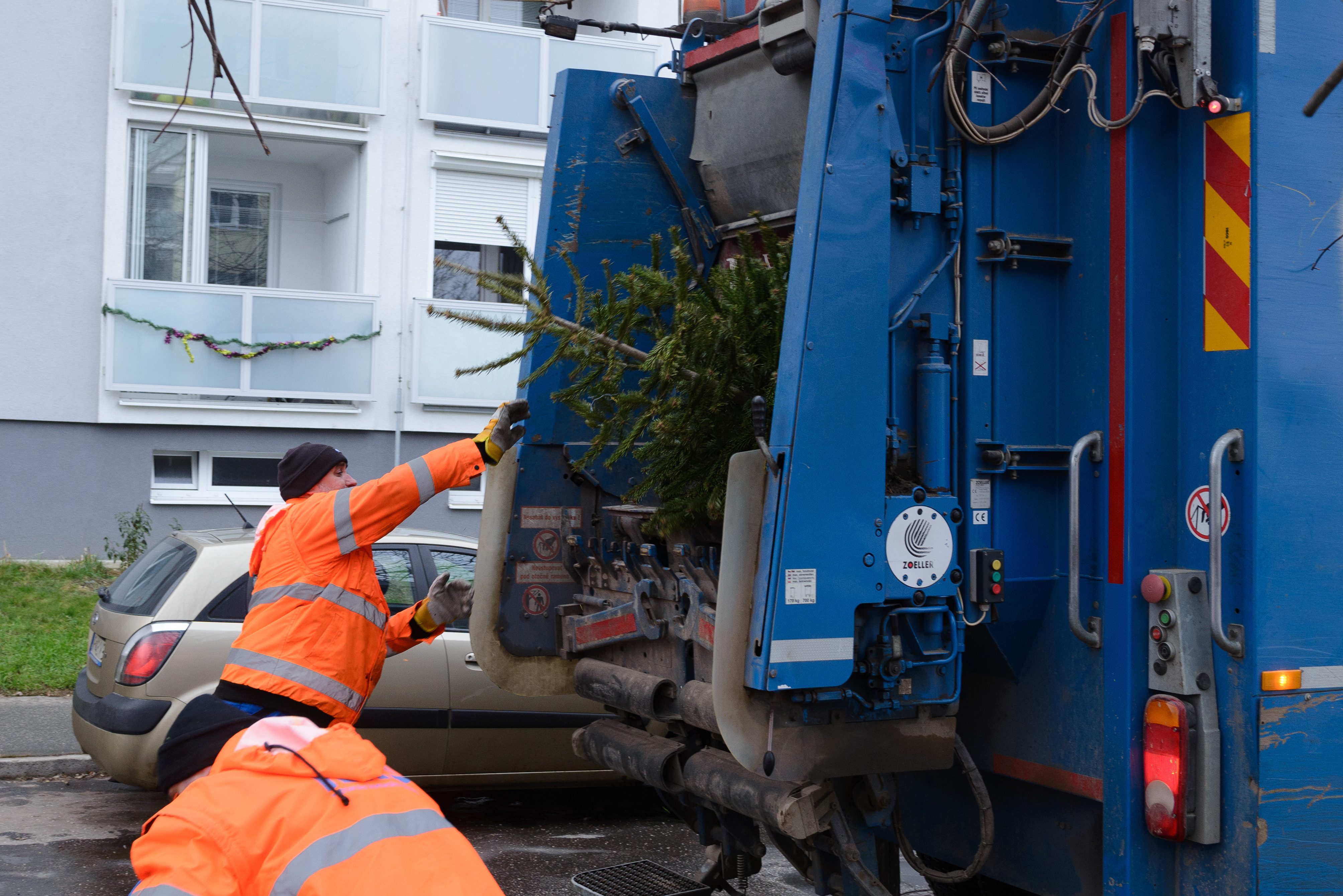 Mesto zabezpečí odvoz živých vianočných stromčekov z trenčianskych sídlisk