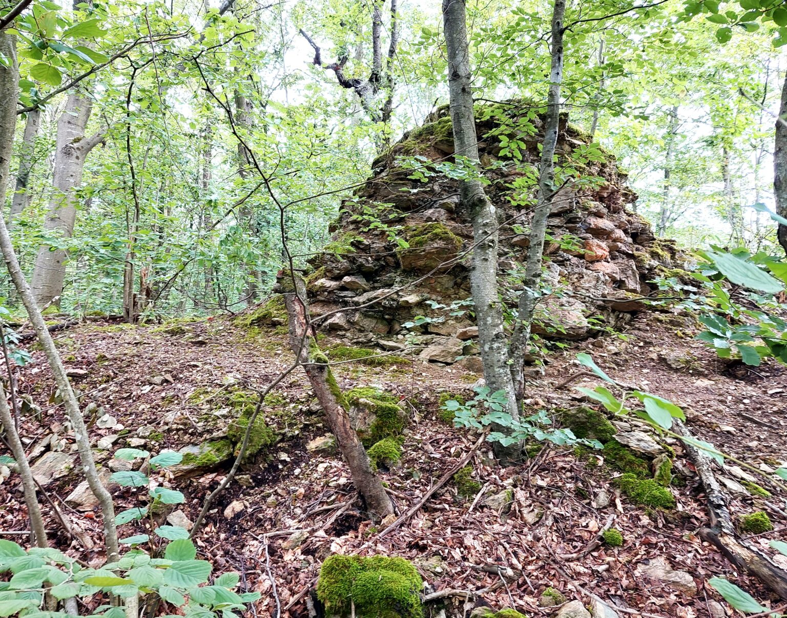 Z hradu veľa neostalo, no v teréne sú stále viditeľné zvyšky múrov. Foto: Boris Macko