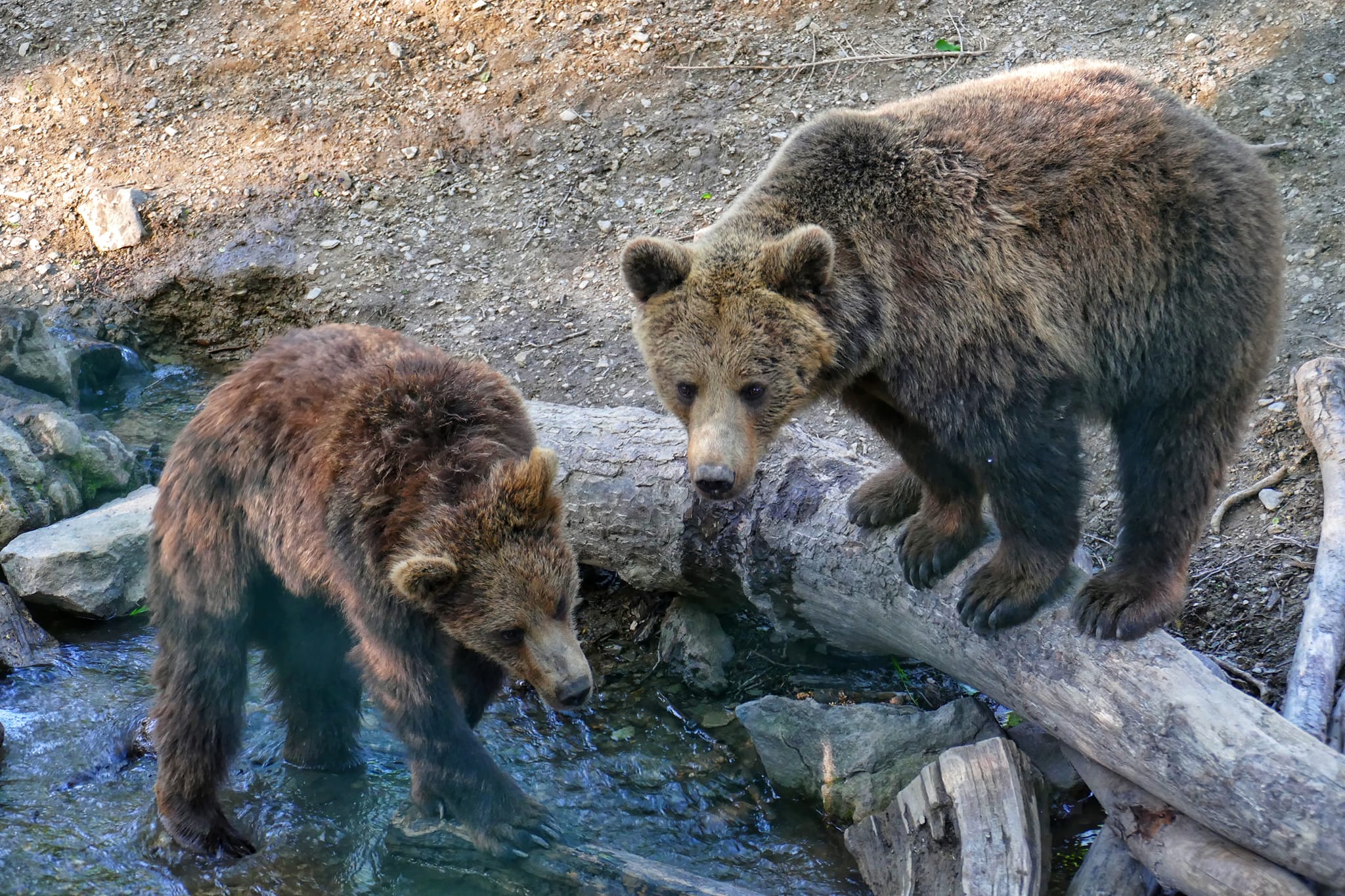 Len symbolické euro za vstup. Zoo odmení žiakov za ich snahu v prvom polroku