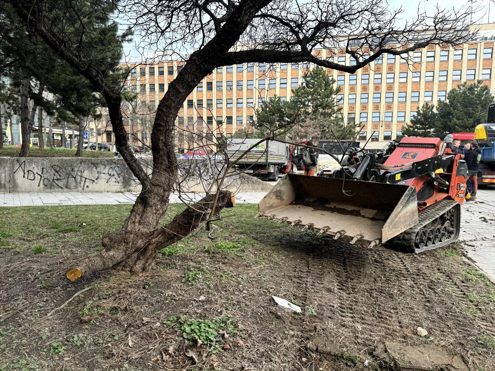 Odstránenie zelene na Kollárovom námestí má dohru. Staré Mesto podalo trestné oznámenie